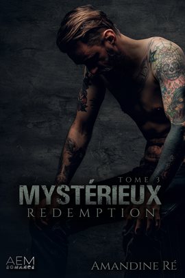 Cover image for Mystérieux - Tome 3