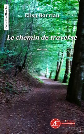 Cover image for Le chemin de traverse