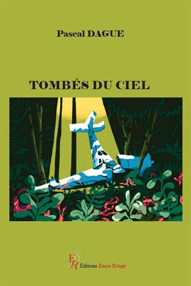 Cover image for Tombés Du Ciel