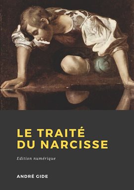 Cover image for Le Traité du Narcisse
