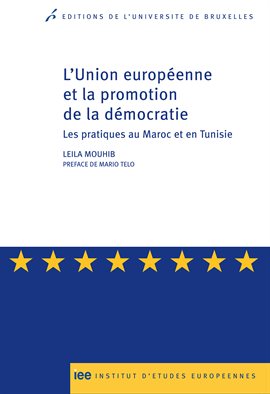 Cover image for L'Union européenne et la promotion de la démocratie