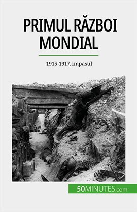 Primul Război Mondial (Volumul 2)