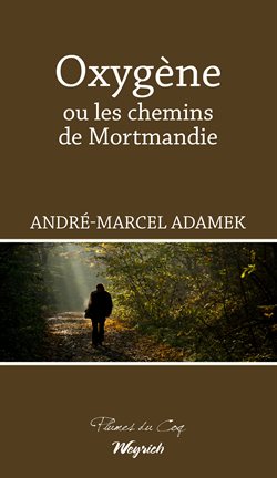 Cover image for Oxygène ou les chemins de Mortmandie