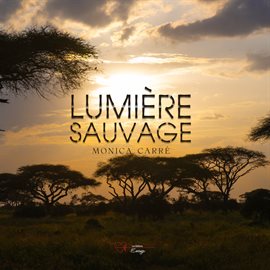 Lumière sauvage