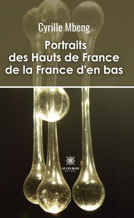 Cover image for Portraits des Hauts de France de la France d'en bas
