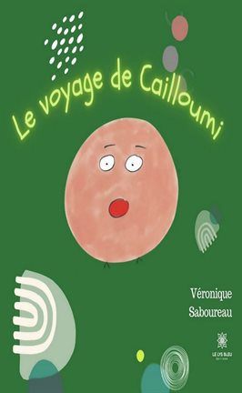 Cover image for Le voyage de Cailloumi