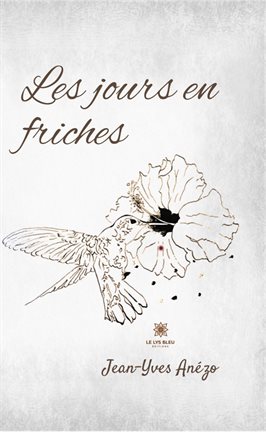 Cover image for Les jours en friches