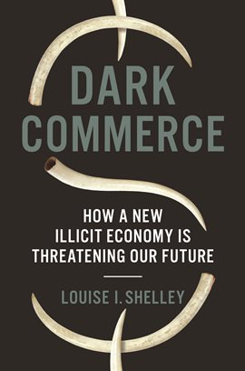 Cover image for Dark Commerce