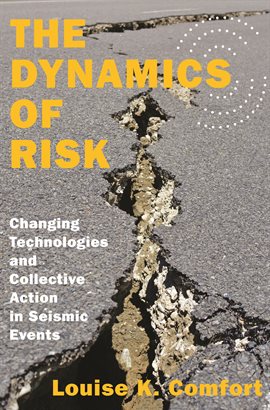 Cover image for The Dynamics of Risk