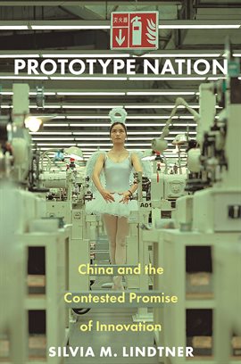 Cover image for Prototype Nation