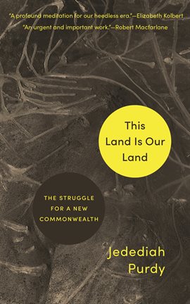 Cover image for This Land Is Our Land