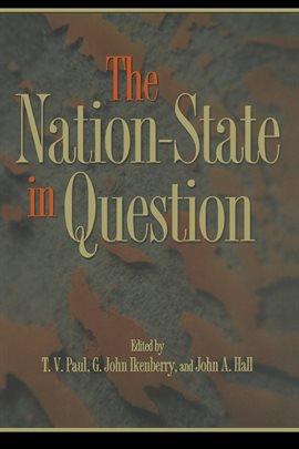 Cover image for The Nation-State in Question