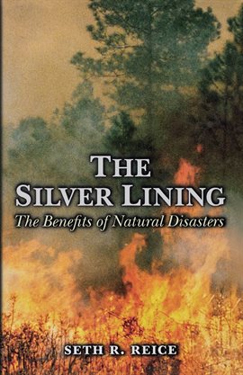 Imagen de portada para The Silver Lining