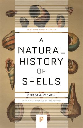 Cover image for A Natural History of Shells