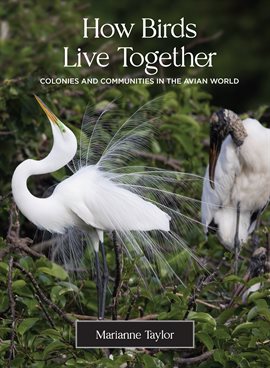 Imagen de portada para How Birds Live Together