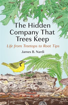 Cover image for The Hidden Company That Trees Keep