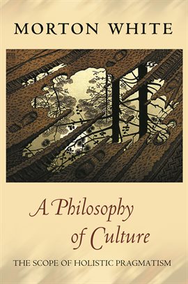 Cover image for A Philosophy of Culture