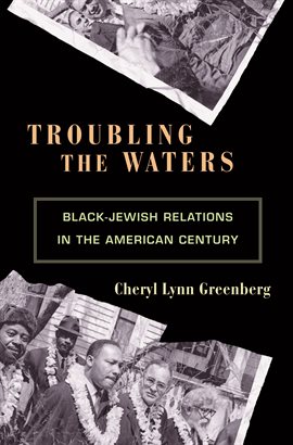 Cover image for Troubling the Waters