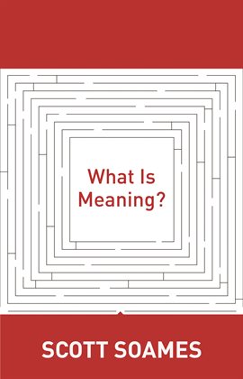 Cover image for What Is Meaning?