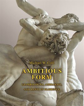 Cover image for Ambitious Form