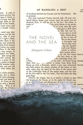 Cover image for The Novel and the Sea