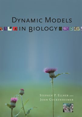 Cover image for Dynamic Models in Biology