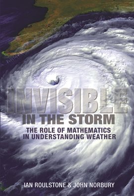 Cover image for Invisible in the Storm