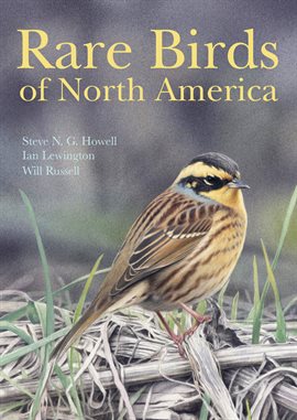 Cover image for Rare Birds of North America