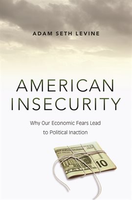 Cover image for American Insecurity