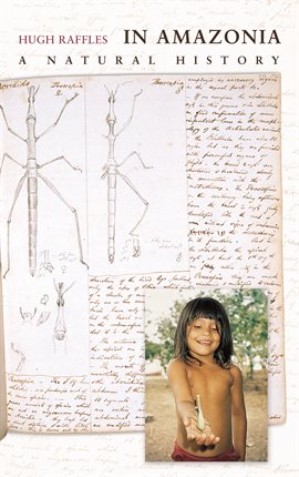 Cover image for In Amazonia