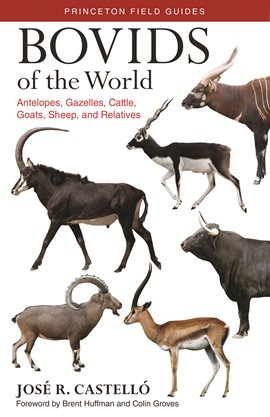 Cover image for Bovids of the World