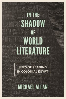 Cover image for In the Shadow of World Literature