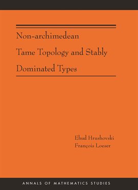 Cover image for Non-Archimedean Tame Topology and Stably Dominated Types