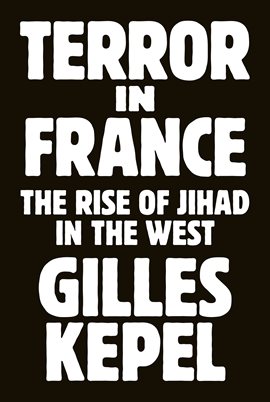 Cover image for Terror in France