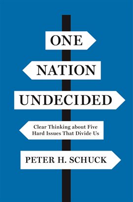 Cover image for One Nation Undecided
