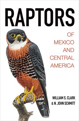 Cover image for Raptors of Mexico and Central America