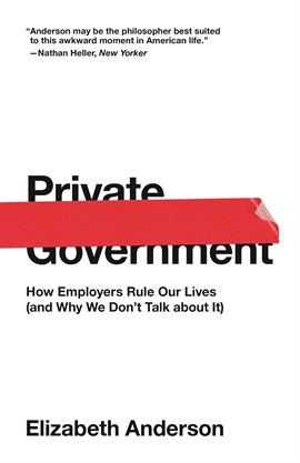 Cover image for Private Government