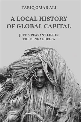 Cover image for A Local History of Global Capital