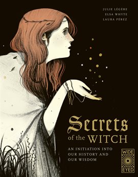 Cover image for Secrets of the Witch