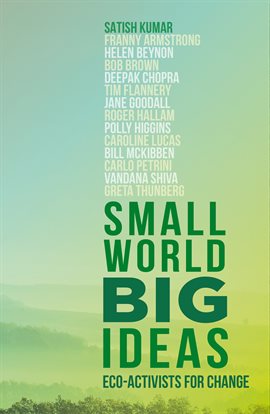 Cover image for Small World, Big Ideas