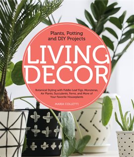 Cover image for Living Decor
