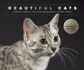 Cover image for Beautiful Cats
