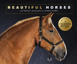 Cover image for Beautiful Horses