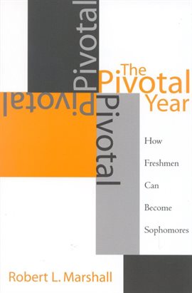 Cover image for The Pivotal Year