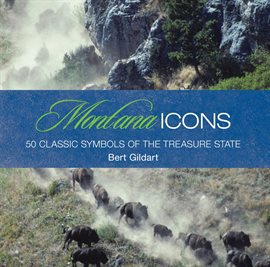 Cover image for Montana Icons