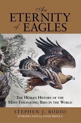 Imagen de portada para Eternity of Eagles