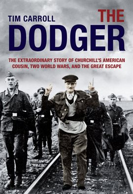 Cover image for Dodger