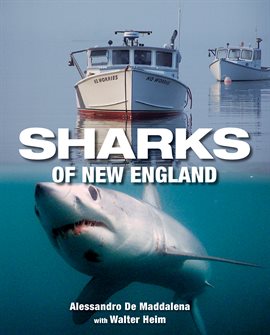Cover image for Sharks of New England