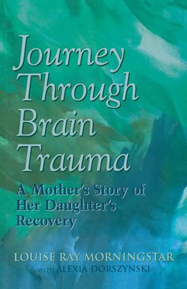 Cover image for Journey Through Brain Trauma