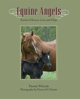 Cover image for Equine Angels